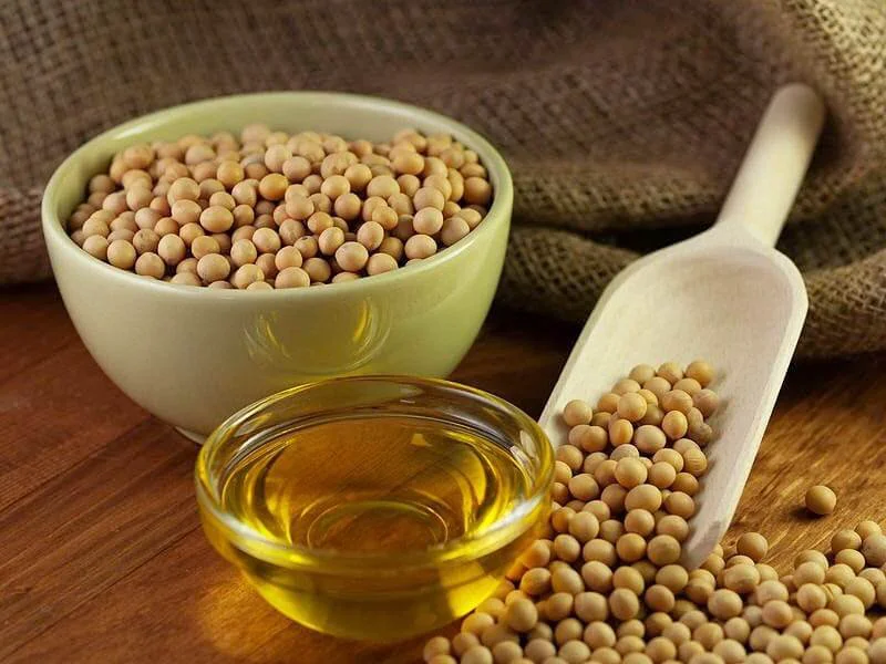 soybean soybean