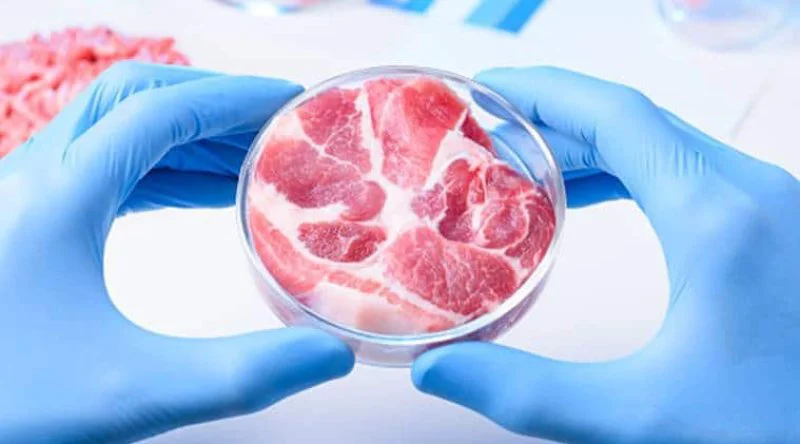 lab grown meat
