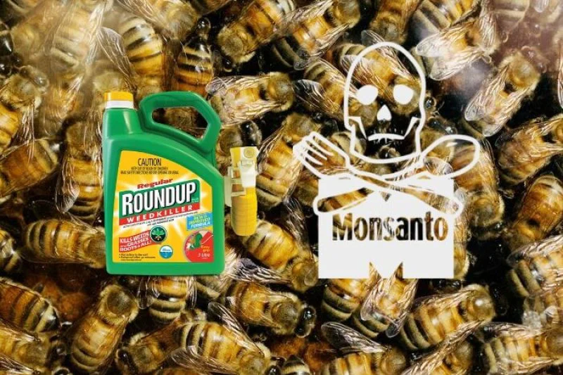 honey bees fungicides honey bees fungicides
