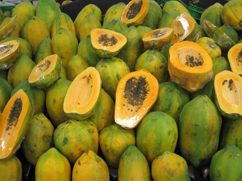 papaya