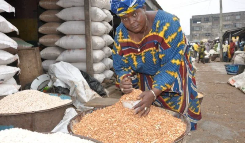 Woman trader selling cowpea at Bodija market Ibadan Nigeria Photo IITA x Woman trader selling cowpea at Bodija market Ibadan Nigeria Photo IITA x