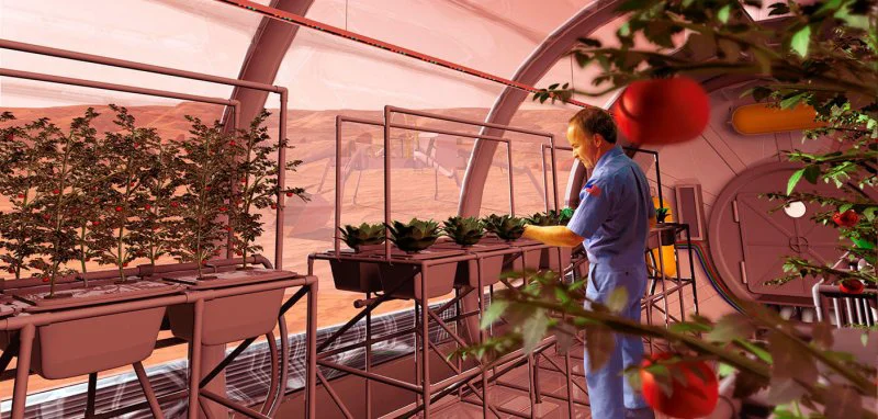 nasa growing food mars Credit: Pat Rawlings/NASA