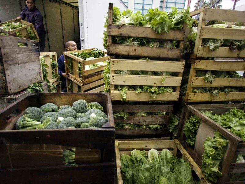 Credit: Damian Dovarganes/AP