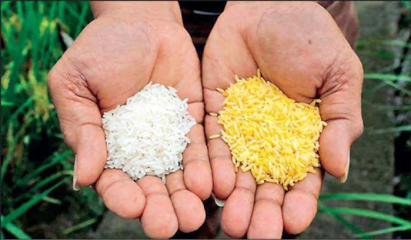 Credit: Getty Images