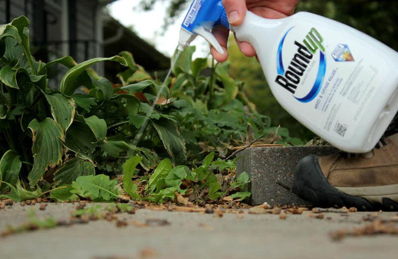 roundup spray roundup spray
