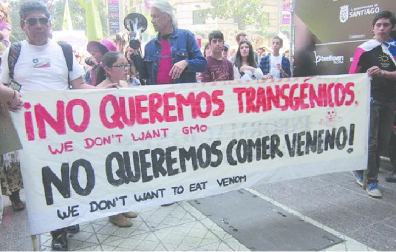 Credit: Mapuexpress Informativo Mapuche