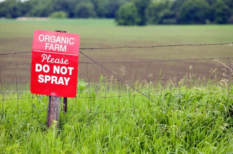 organic farm organic farm