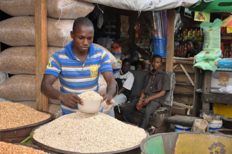 cowpea market iita cowpea market iita