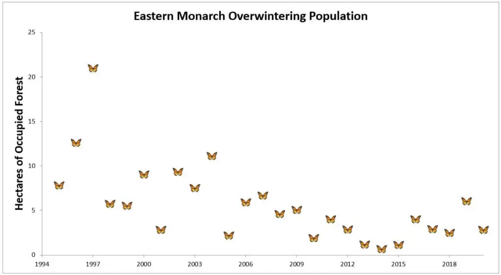 eastern monarch overwintering population tierra curry center fpwc