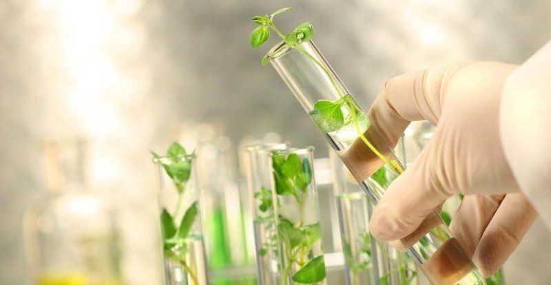 biotech