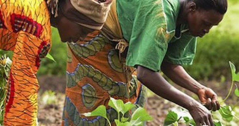 ghana women