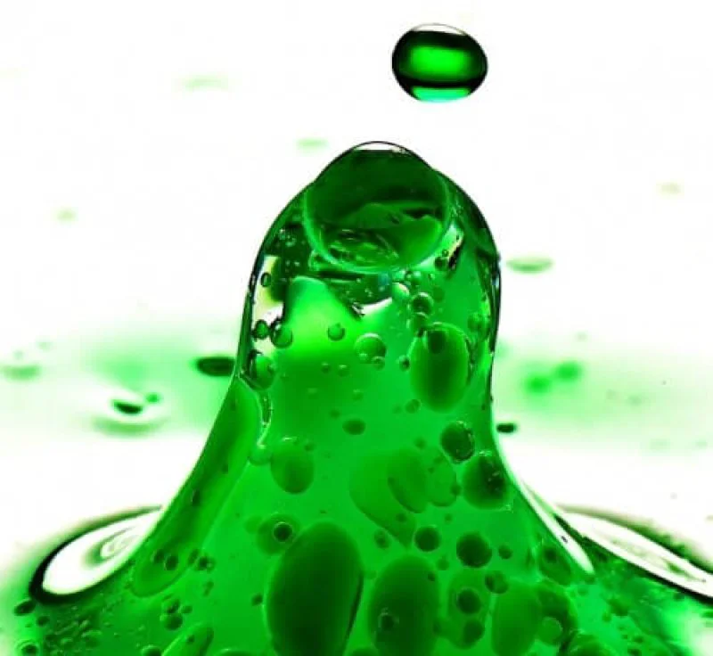 ace algae biofuel ace algae biofuel
