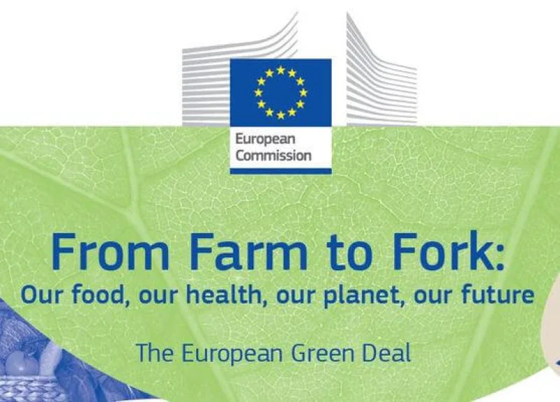 unnamed file unnamed file