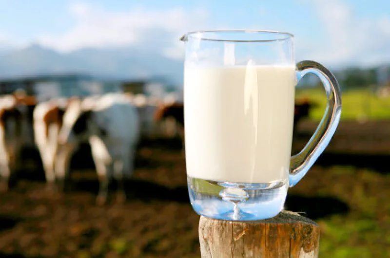 raw milk raw milk