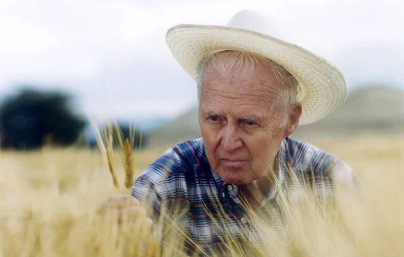 norman borlaug norman borlaug