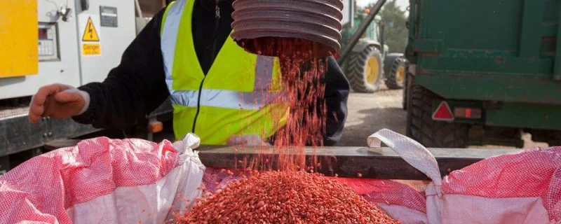 Seed treating x Seed treating x