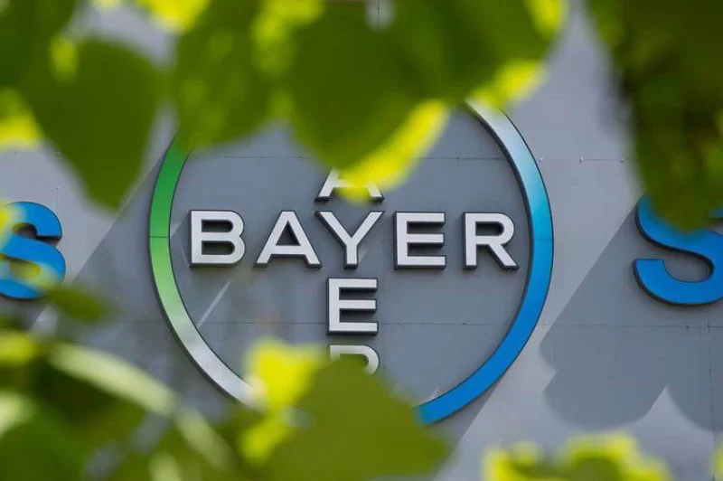 bayer