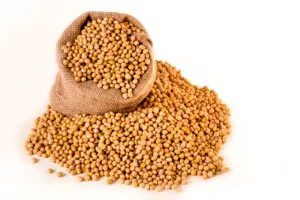 soybeans