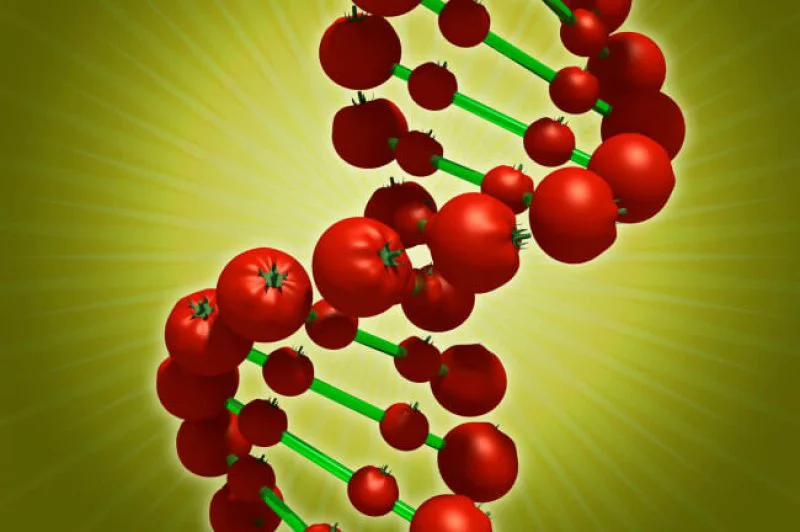 Credit: Digital Art/Fuse/Getty Images