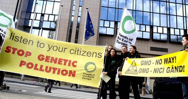 gmo action gmo action