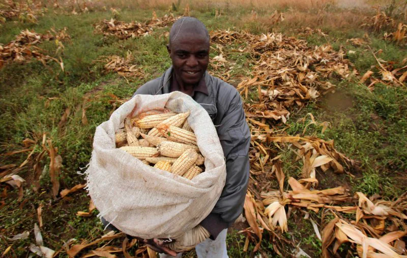 Credit: Philimon Bulawayo/Reuters