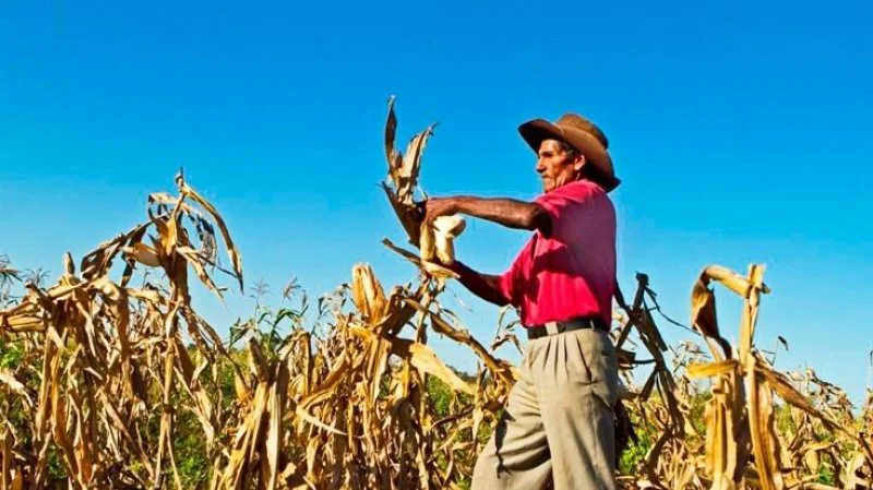bo bolivian farmer result x bo bolivian farmer result x