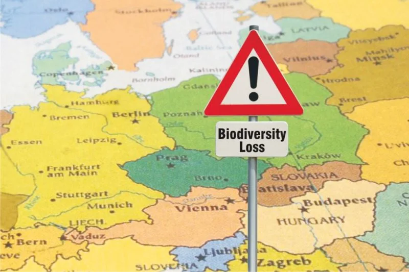 european wildlife austria hungary czech republic biodiversity loss Credit: Euro Wildlife
