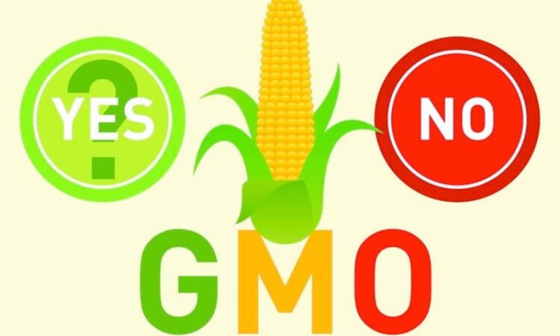 gmo label gmo label