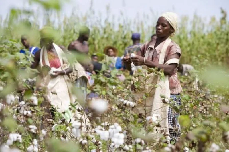 CmiA Welcomes Mozambique as Sixth Project Country e CmiA Welcomes Mozambique as Sixth Project Country e