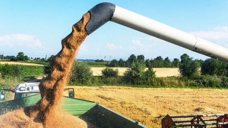 harvesting x
