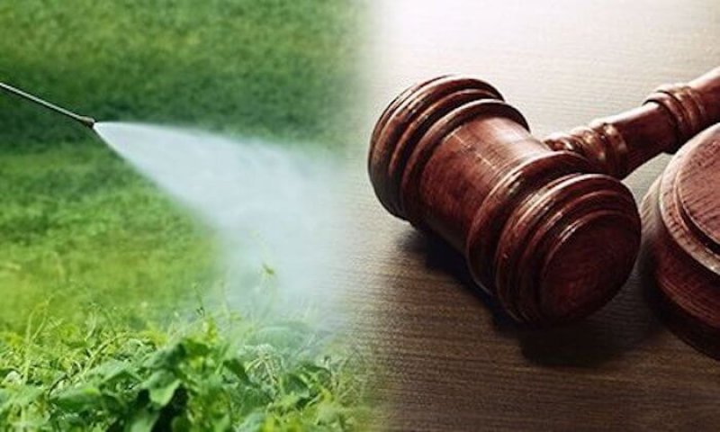 lawsuit court gavel table pesticides lawsuit court gavel table pesticides