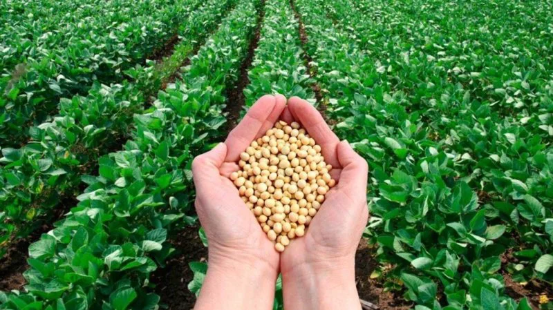 atloxpn x Credit: Agropages