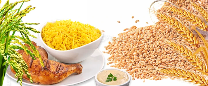 biofortification way forward nourishing future