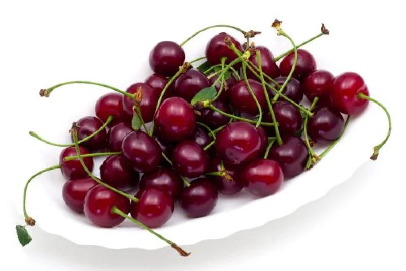 sour cherries bowl sour cherries bowl
