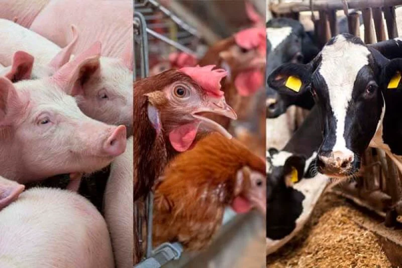 Credit: A Bigger Conversation