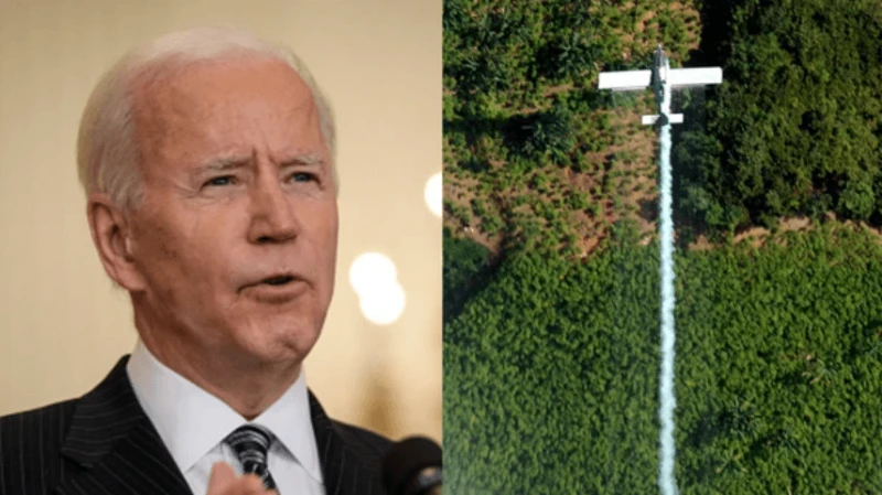 Credit: Getty Images/Vice