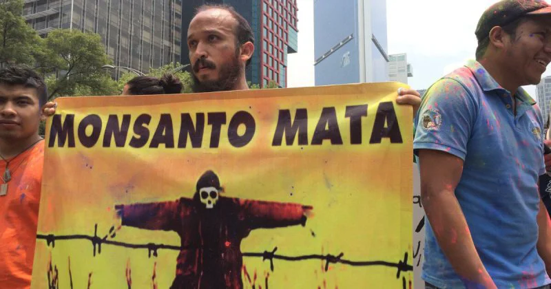 monsanto mata x monsanto mata x