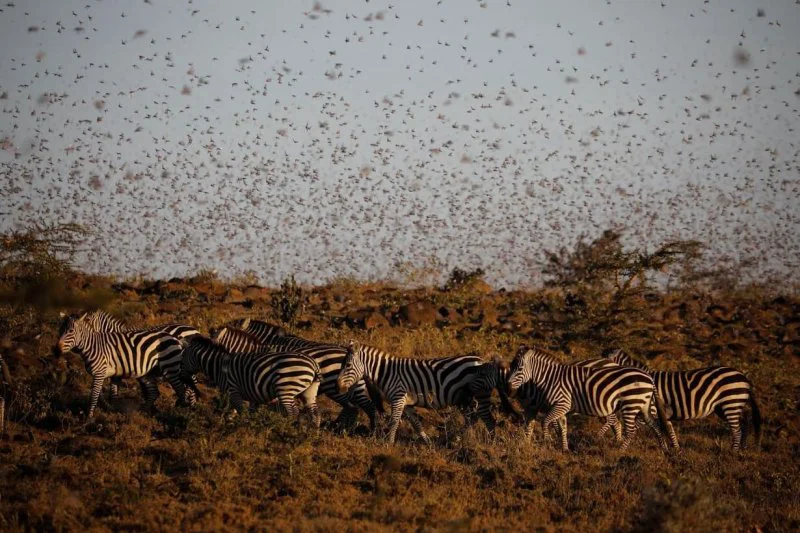 Credit: Baz Ratner/Reuters