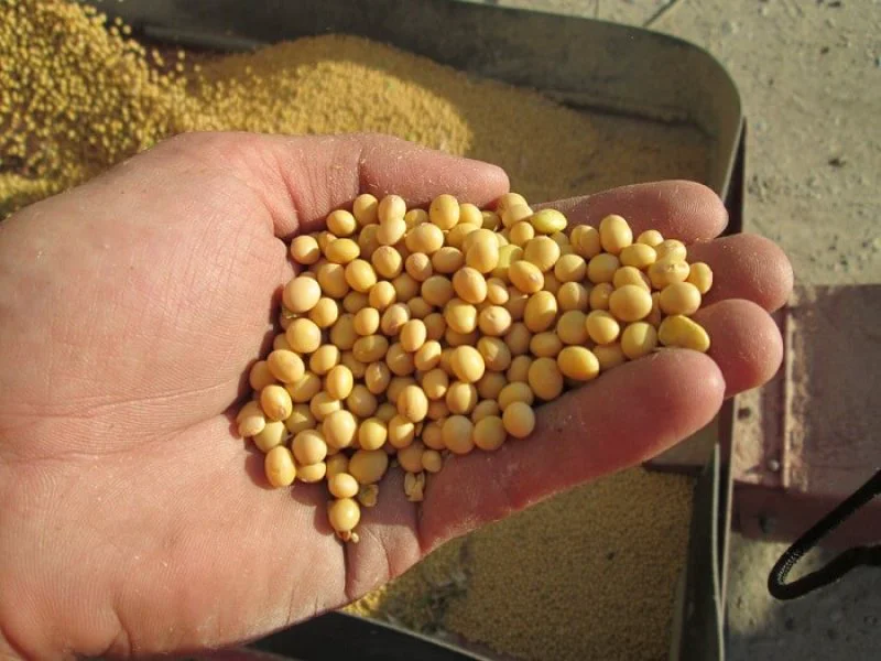 illinois soybean high yield value illinois soybean high yield value