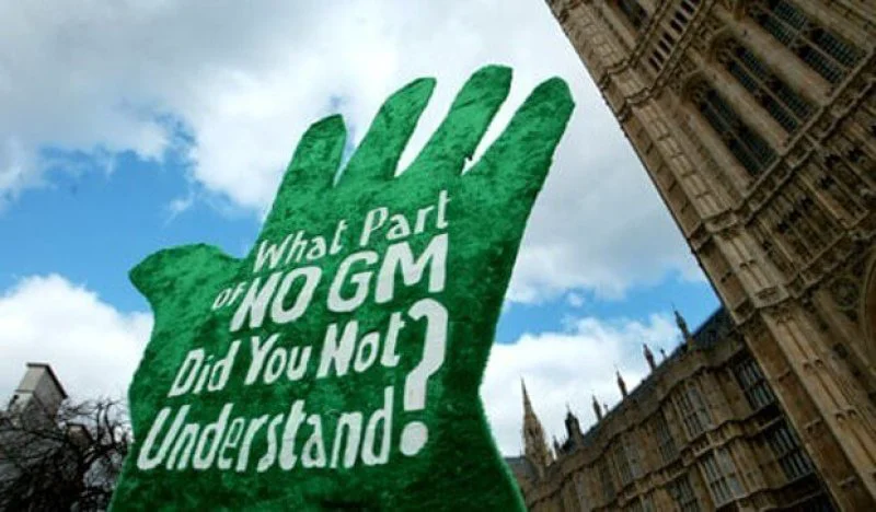 gm crops europe x gm crops europe x