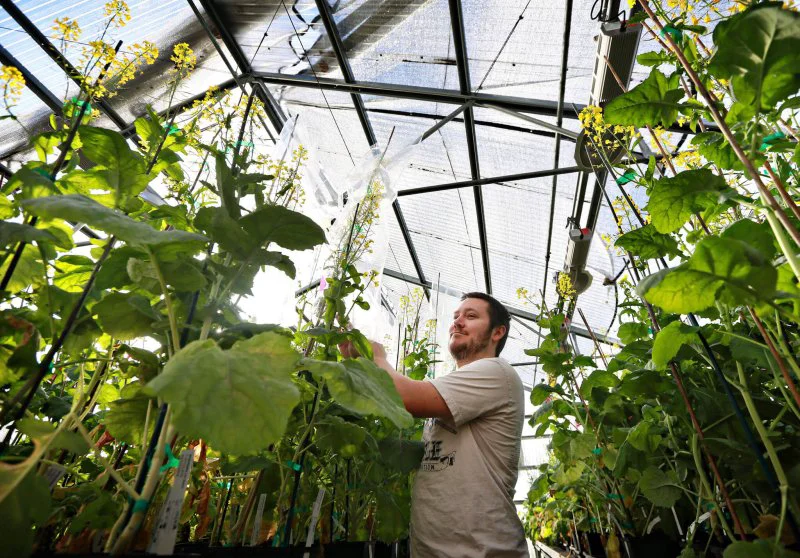 Credit: Sandy Huffaker/New York Times