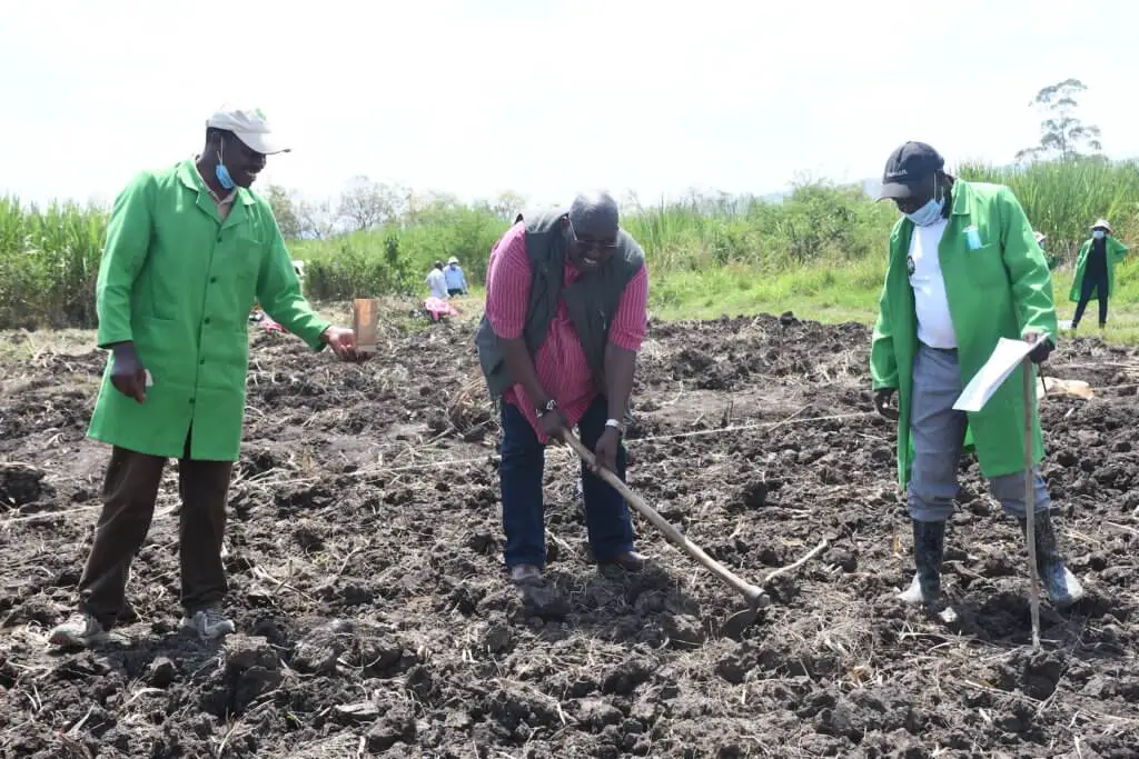 james karanja pi tela maize kalro director general dr eliud keriger and a governmnet official lead the planting excercise in one of selected fields james karanja pi tela maize kalro director general dr eliud keriger and a governmnet official lead the planting excercise in one of selected fields