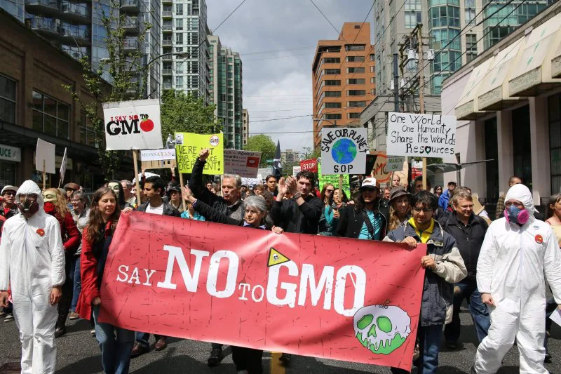 march against monsanto vancouver rosaleeyagihara march against monsanto vancouver rosaleeyagihara
