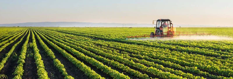 glyphosate glyphosate