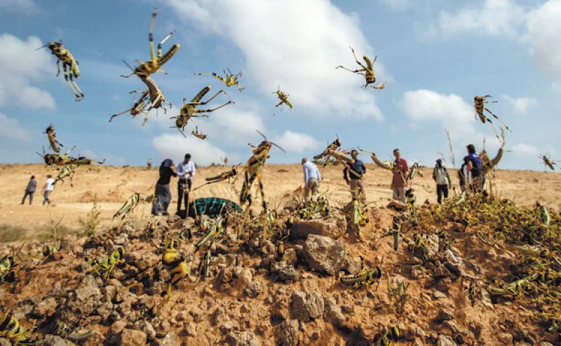 Credit: Ben Curtis/AP