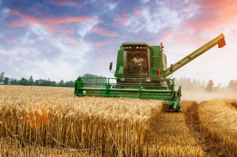 wheatfarmer lead wheatfarmer lead