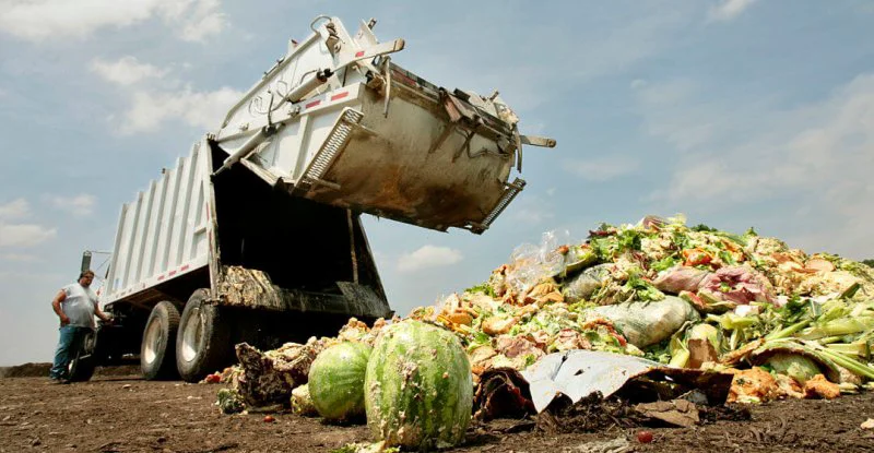 food waste opt food waste opt