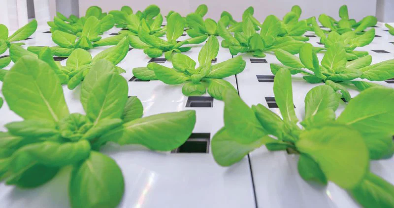 Credit: Getty Images