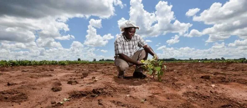 agriculture afrique climat e x agriculture afrique climat e x