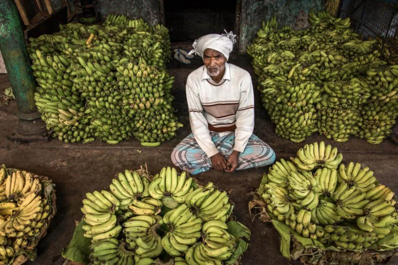 bananas yourshot thplate ngsversion adapt Credit: Tashi Delek Nakata/National Geographic